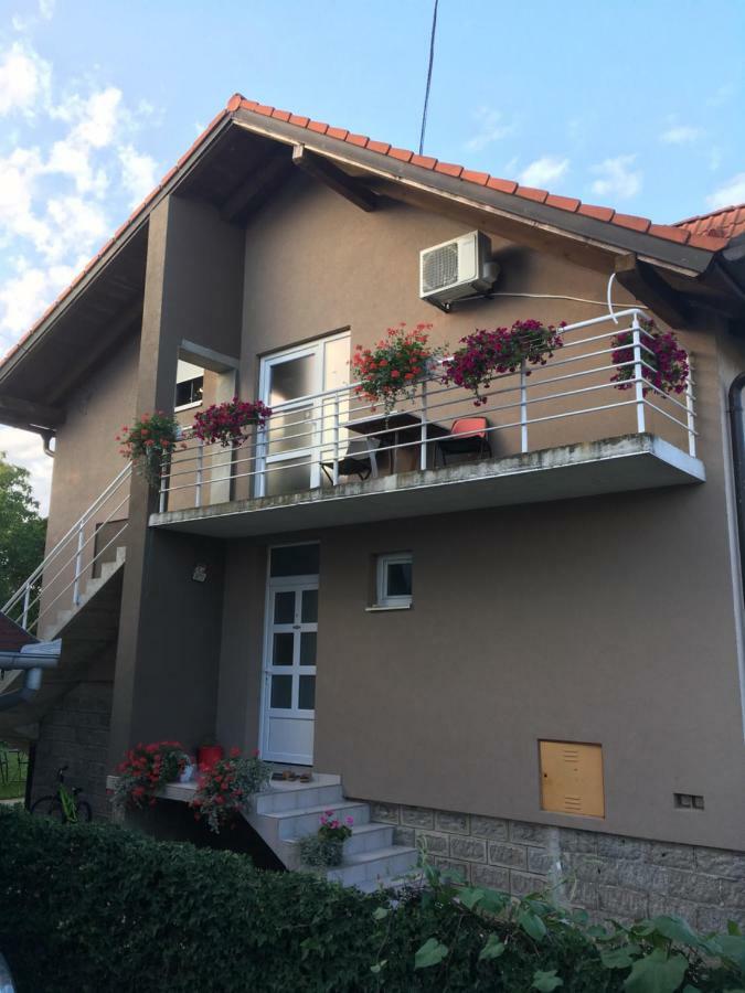 Guest house Ruža Tenja Extérieur photo