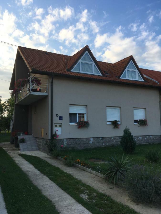 Guest house Ruža Tenja Extérieur photo